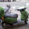 2010-09-27 Scooter ecolo_l.jpg